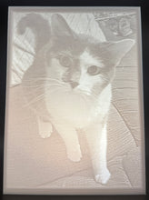 Load image into Gallery viewer, Custom 3D Printed Lithophanes - Transform Photos into Stunning Light Art - Personalized Gifts | Made in the USA