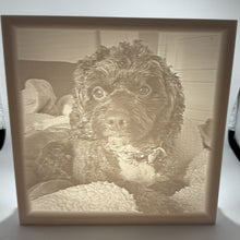 Load image into Gallery viewer, Custom 3D Printed Lithophanes – Photo to Light Art
