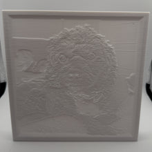 Load image into Gallery viewer, Custom 3D Printed Lithophanes – Photo to Light Art
