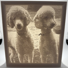 Load image into Gallery viewer, Custom 3D Printed Lithophanes – Photo to Light Art
