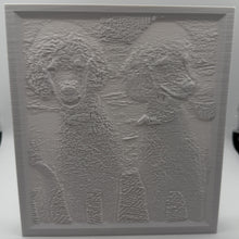 Load image into Gallery viewer, Custom 3D Printed Lithophanes – Photo to Light Art
